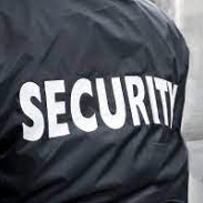 TEBOLETHABO SECURITY SERVICES